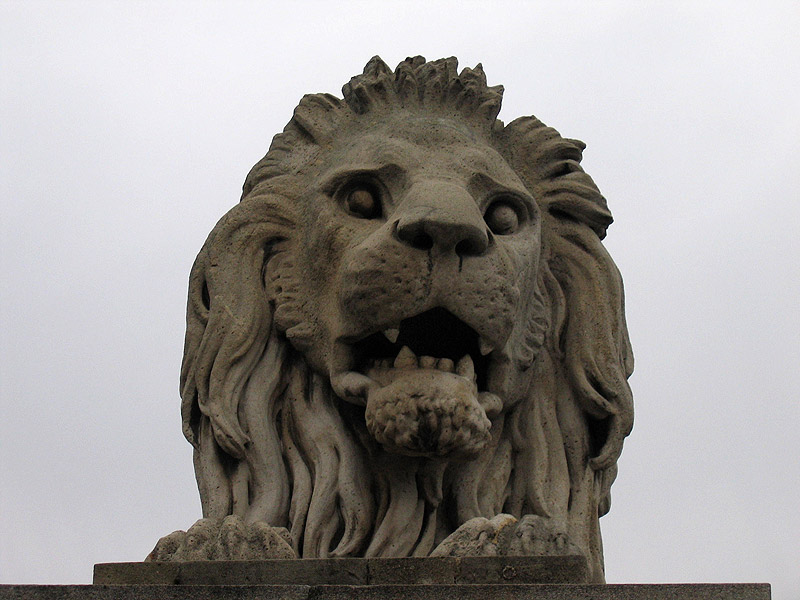 image20.jpg