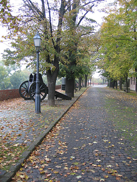 image39.jpg