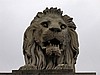 image20.jpg